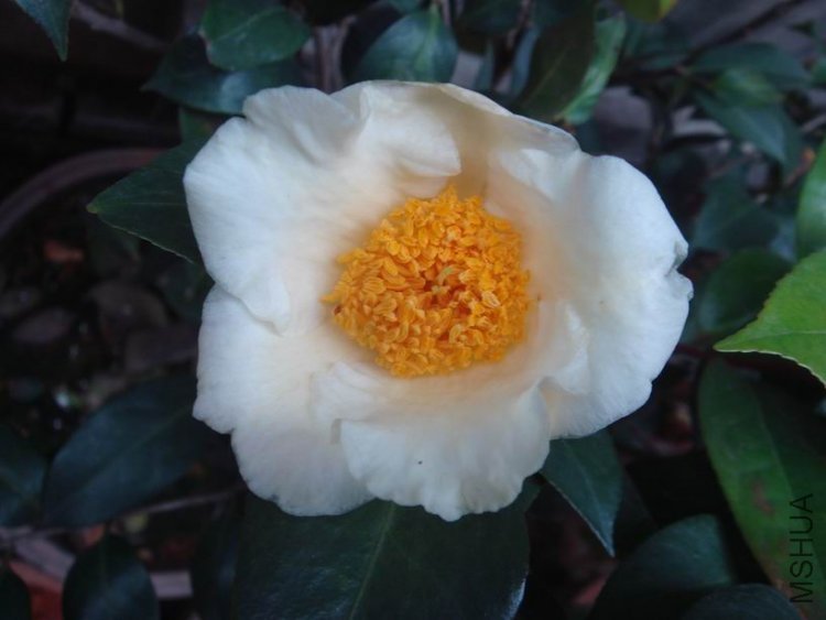 �ƾ�ϲ����Ƭû���ֵ����Ļ�