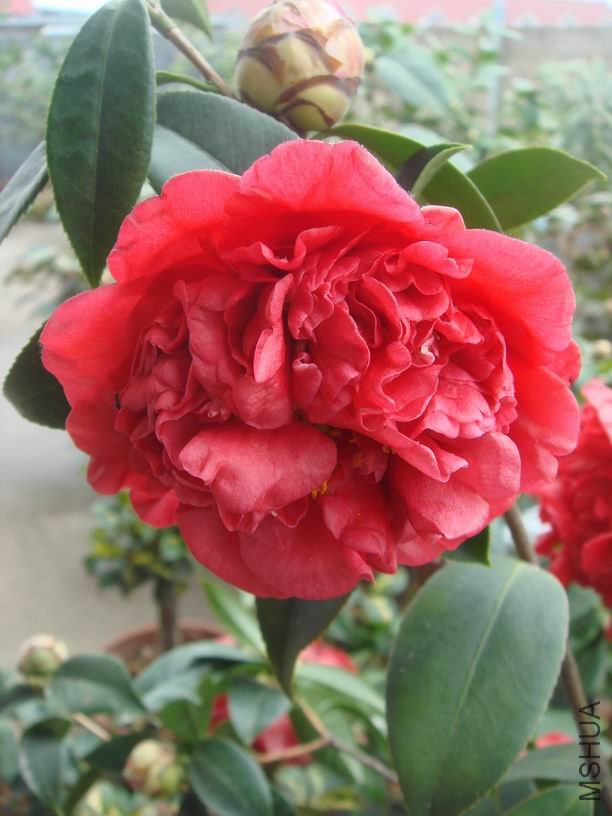 ���������������