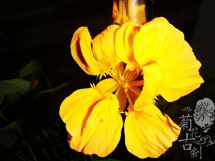 nEO_IMG_nEO_IMG_DSC01002.jpg
