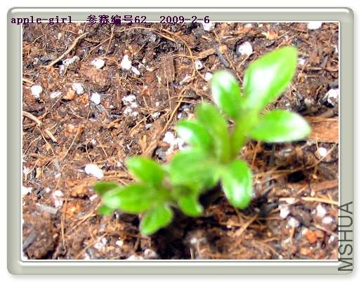 ��Ƭ20090206 021.jpg