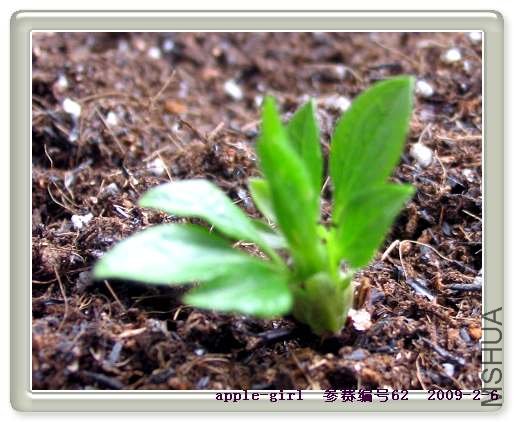 ��Ƭ20090206 024.jpg