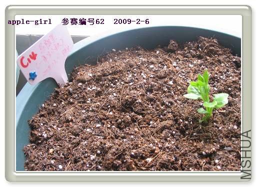 ��Ƭ20090206 027.jpg