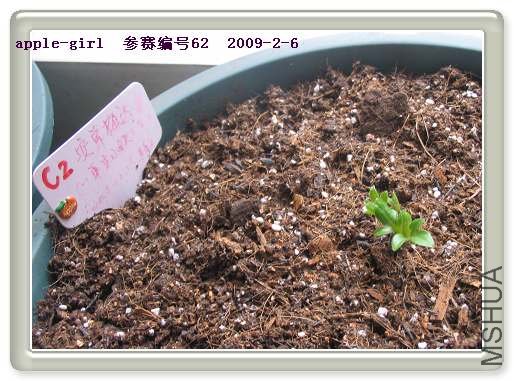 ��Ƭ20090206 028.jpg