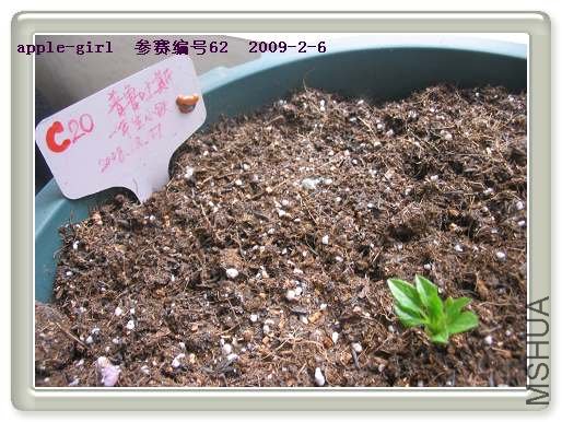 ��Ƭ20090206 029.jpg