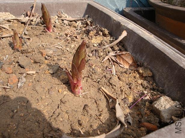 �����ö����ĺܿ�