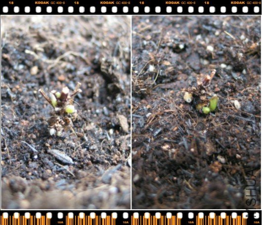 ��˾��ѿ���ڿ�ʼ���ˣ�