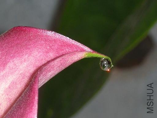 õ��---����һ¶