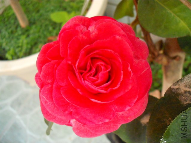 ���ŵ�Ч�����õ㣬�ɻ���ƫ����