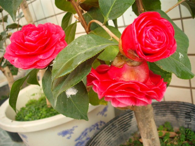 9�Ż��������