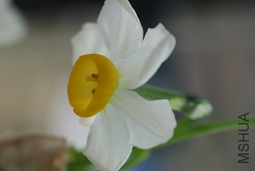 DSC_1725.JPG