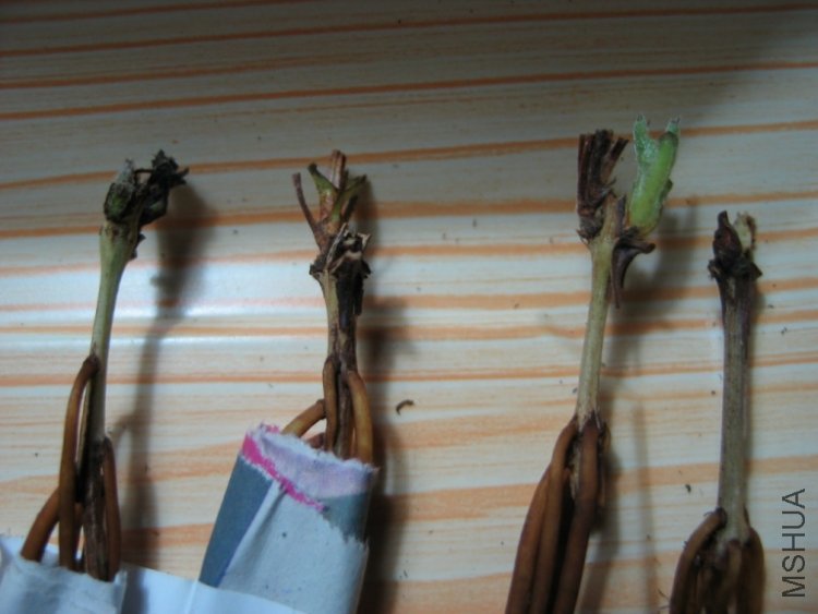 ��ѿ��û�У������һ��