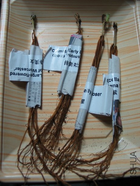 ���ұߵ��ǵ�����