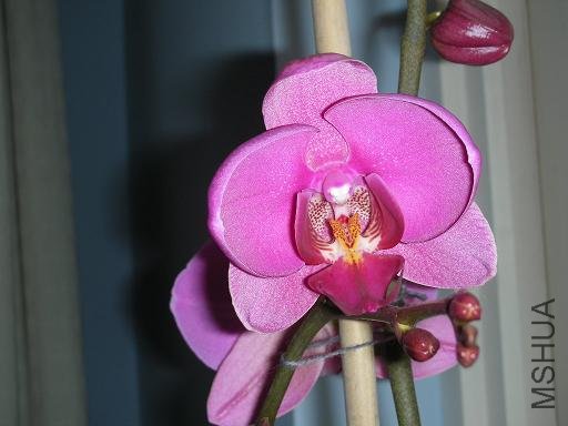 ����5��ĺ�����