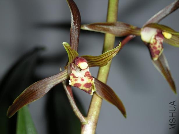 3 �������