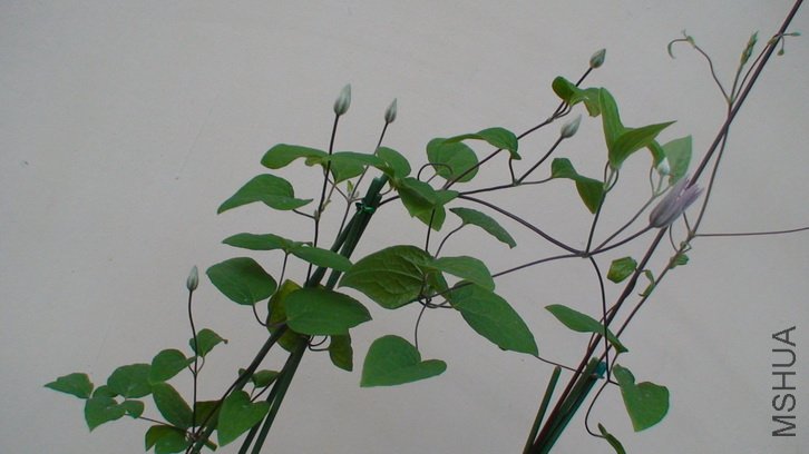 ��������������������ѿ��˻��٣�