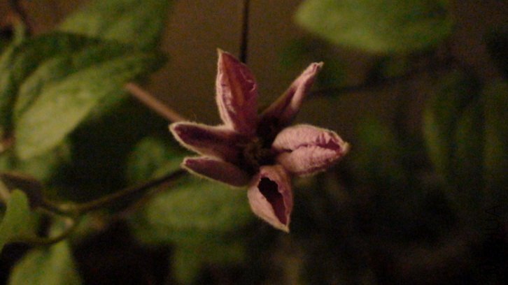 �ٸ���һ�¡�