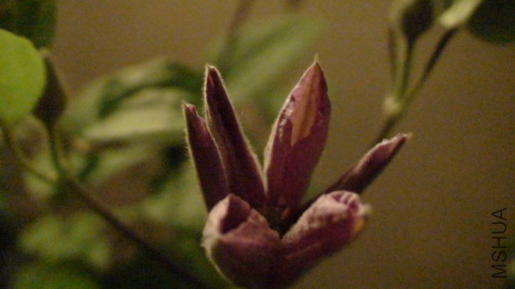 ��һ���Ƕȿ�һ�¡�