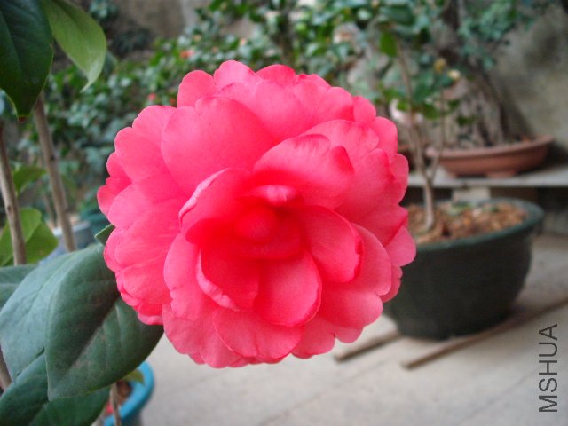 ����ɰ����ʿ����˵�Ǹ����ģ��ͽ𻪵Ĳ�һ��������Ҳ����14���֣�