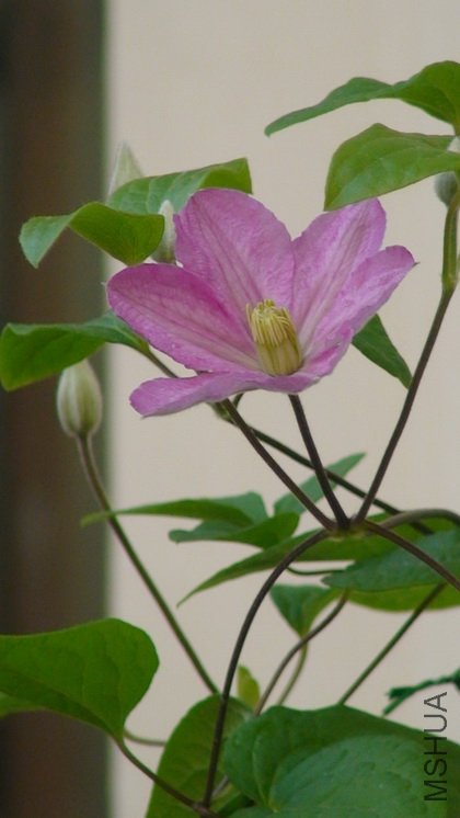 ��Ƕȿ�����