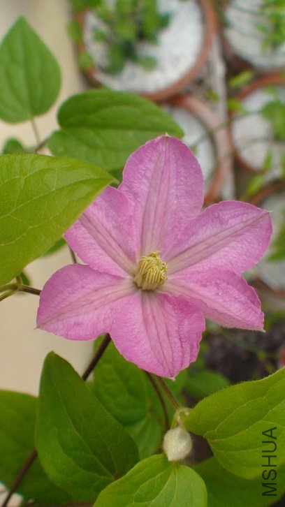 ����һ�¡�