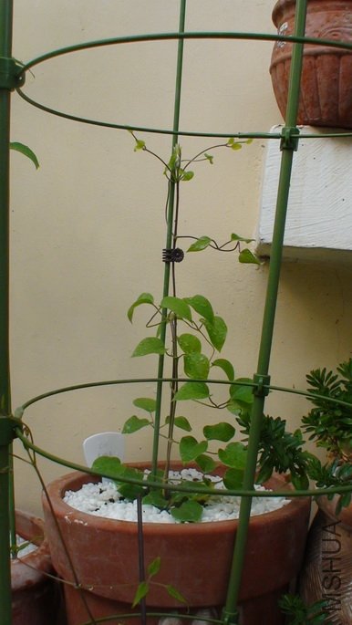 ��ʮ��ʱ����.(2-6��)