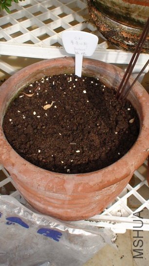 1-1��, �����,ʲôҲ��������.�����������,����26��!