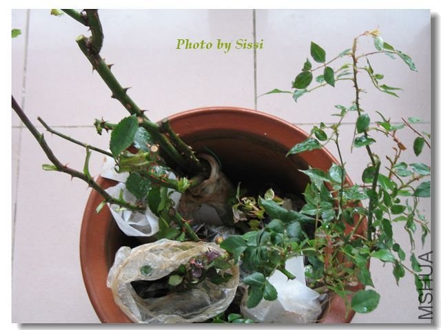 ��˿�����ۻ���ˮǾޱ��΢����~