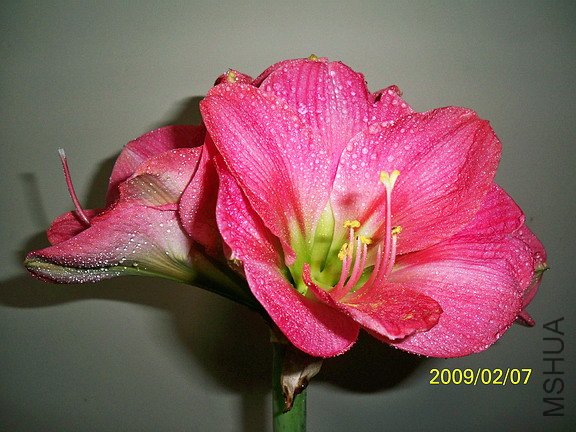 ��Ƭ 2439(576).jpg