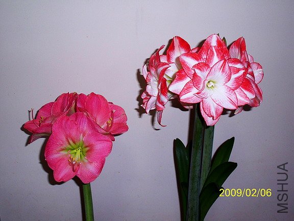 ��Ƭ 2136(576).jpg