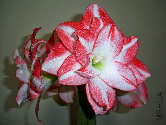 ��Ƭ 2618(576).jpg