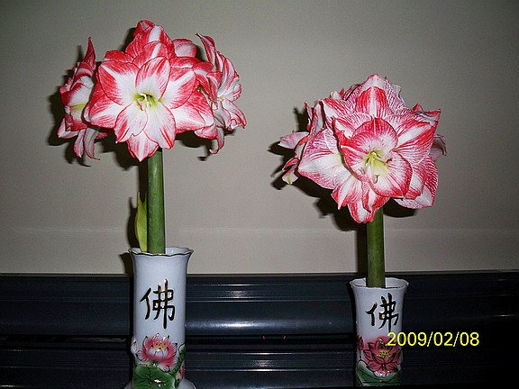 ��Ƭ 2144(576).jpg