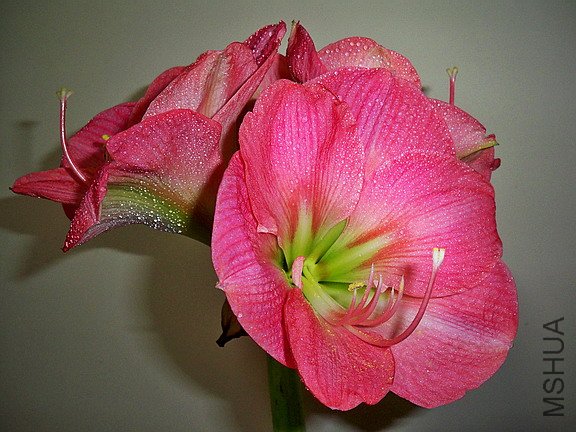 ��Ƭ 2445(576).jpg