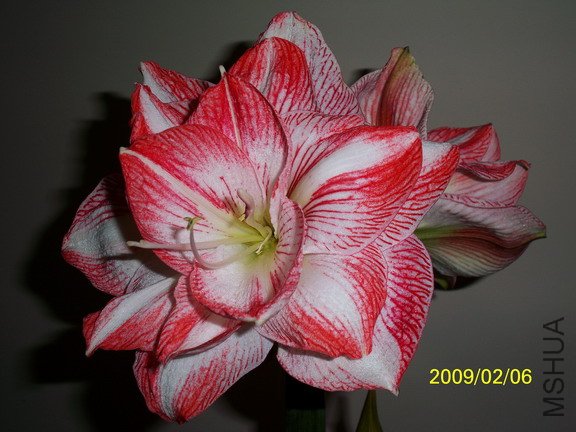 ��Ƭ 2616(576).jpg