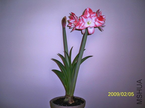 ��Ƭ 2569(576).jpg