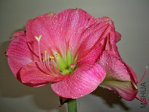 ��Ƭ 2447(576).jpg