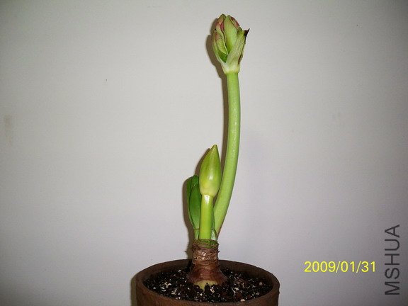 ��Ƭ 2355(576).jpg