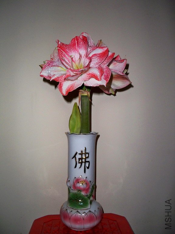 ��Ƭ 2621(576a).jpg