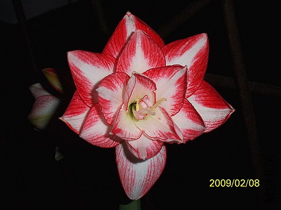 ��2֦��������...�����ȸ