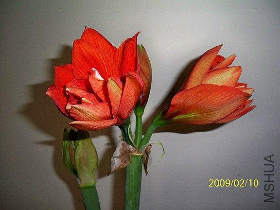 ��Ƭ 2466(576).jpg