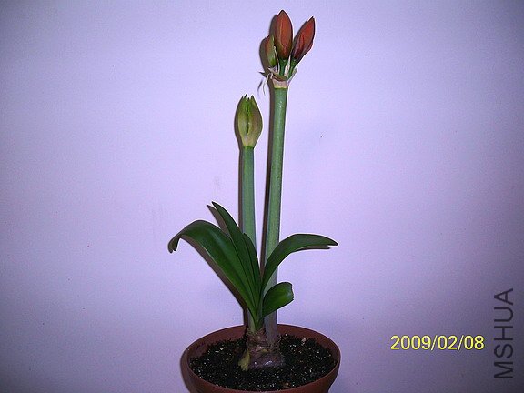 ���� 2455(576).jpg