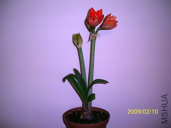 ��Ƭ 2463(576).jpg