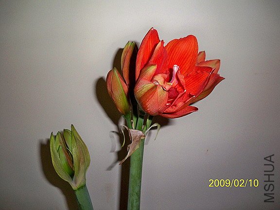 ��Ƭ 2469(576).jpg