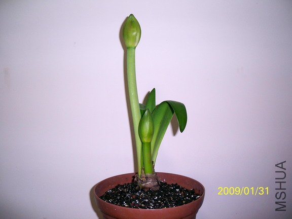 ��Ƭ 2441(576).jpg