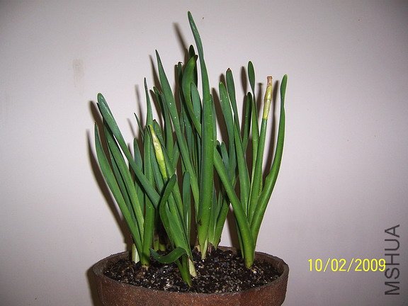 ��һ�ѧ��׷�Ⱑ ! ������, ������������....