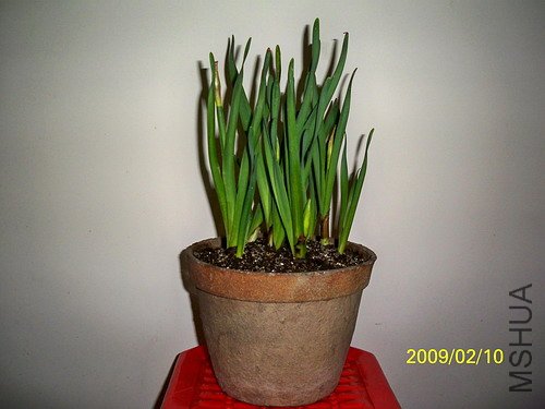 ��Ƭ 369(500).jpg