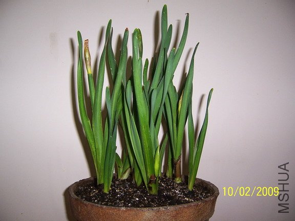 ��Ƭ 397(576).jpg