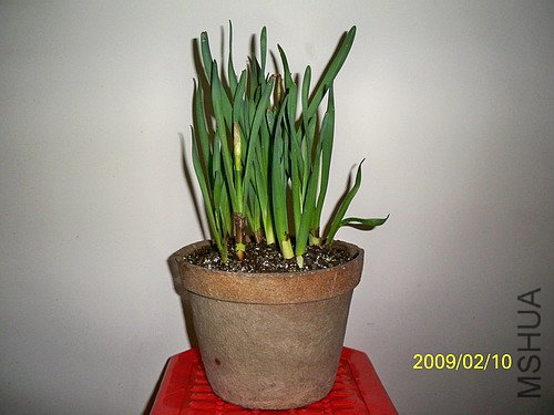 ��Ƭ 361(500).jpg