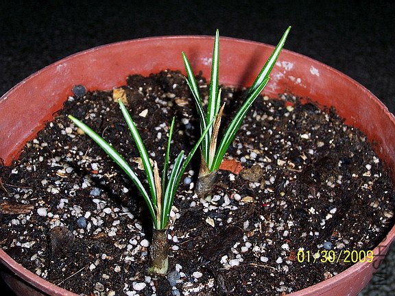 ��Ƭ 1424(576).jpg