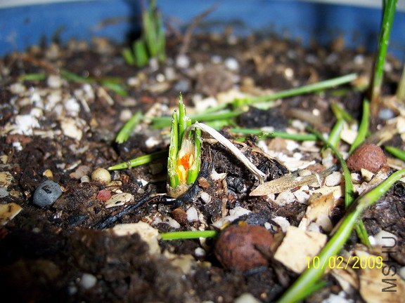 ��Ƭ 1428(576).jpg