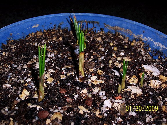 ��Ƭ 1426(576).jpg